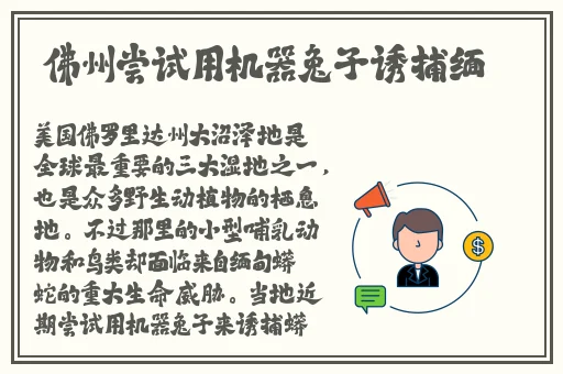 精品国产一区黄区